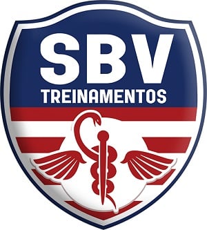 SBV_1