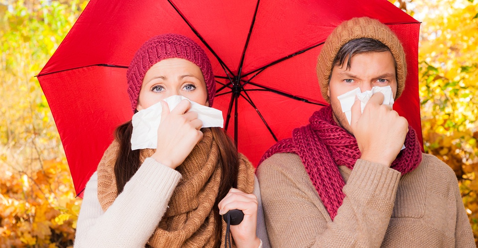 Flu Season